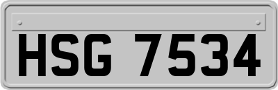 HSG7534
