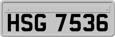 HSG7536