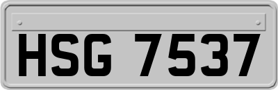 HSG7537