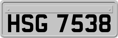 HSG7538