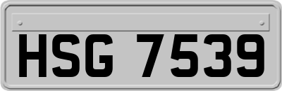 HSG7539