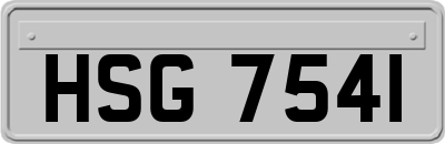 HSG7541