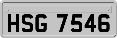 HSG7546