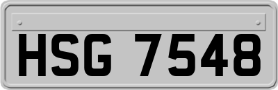 HSG7548