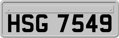HSG7549
