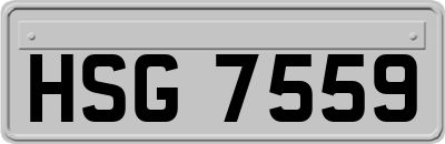 HSG7559