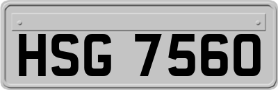 HSG7560