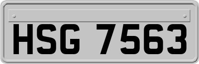HSG7563