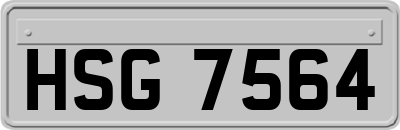 HSG7564