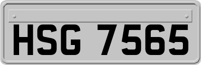 HSG7565