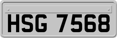 HSG7568