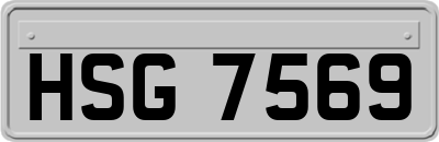 HSG7569