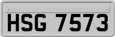 HSG7573