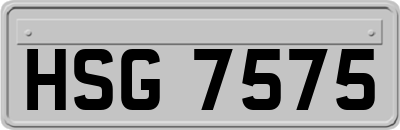 HSG7575