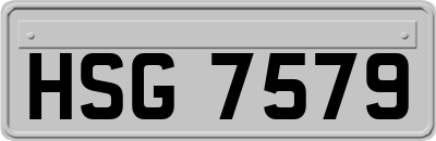 HSG7579