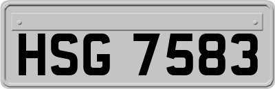 HSG7583