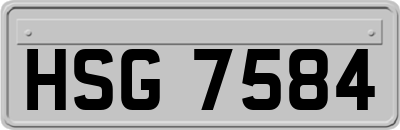 HSG7584