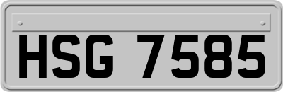 HSG7585