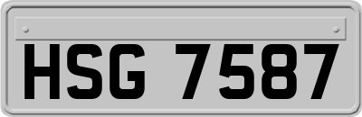 HSG7587