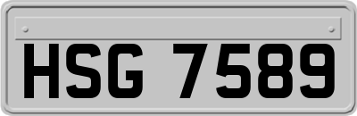 HSG7589