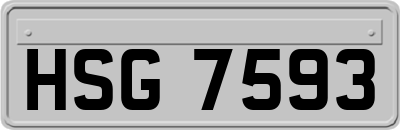 HSG7593