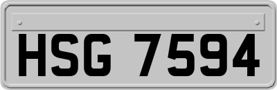 HSG7594