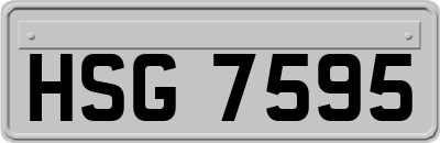 HSG7595
