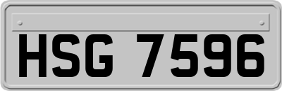 HSG7596