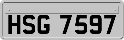 HSG7597