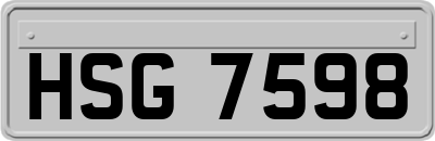 HSG7598