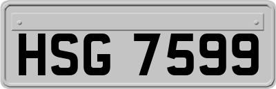 HSG7599