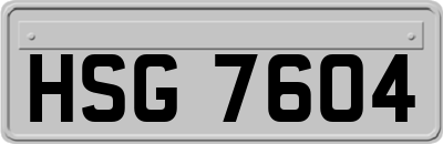HSG7604