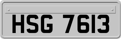HSG7613