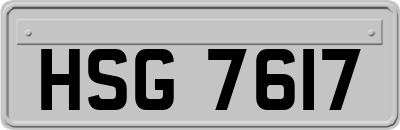 HSG7617