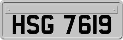 HSG7619
