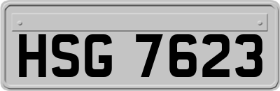 HSG7623