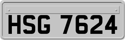 HSG7624