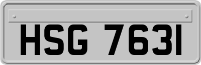 HSG7631