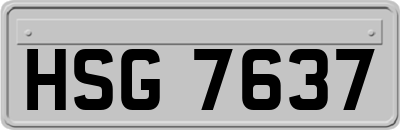 HSG7637