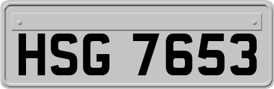 HSG7653