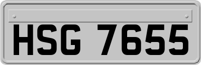HSG7655