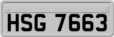 HSG7663
