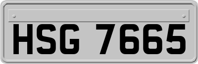 HSG7665