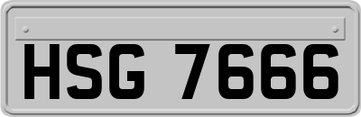 HSG7666
