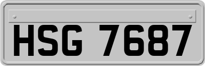HSG7687