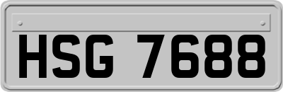 HSG7688