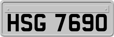 HSG7690