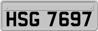 HSG7697