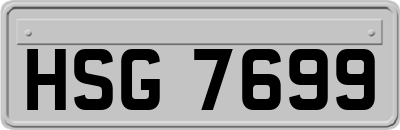 HSG7699