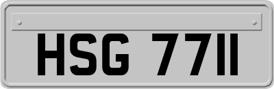 HSG7711